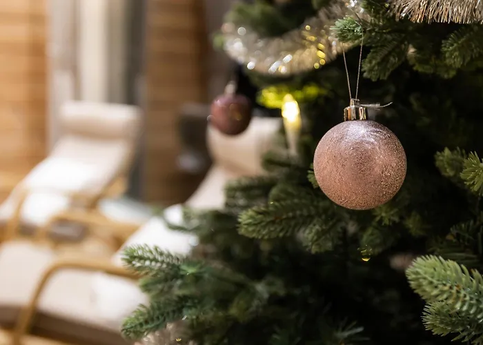 Loimuvilla Вилла Рованиеми